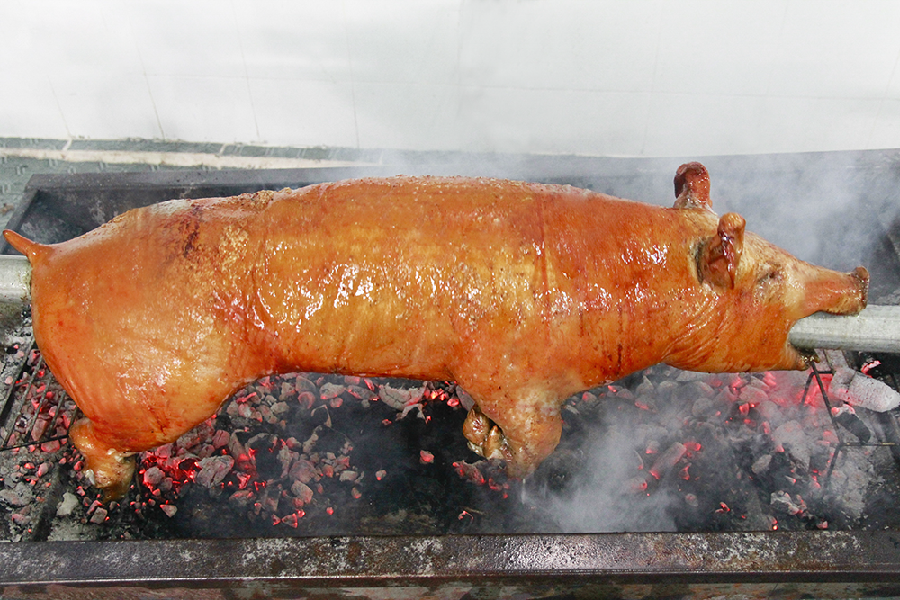 mua lợn rừng nguyên con