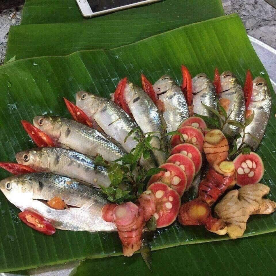 Cá mòi tươi sạch