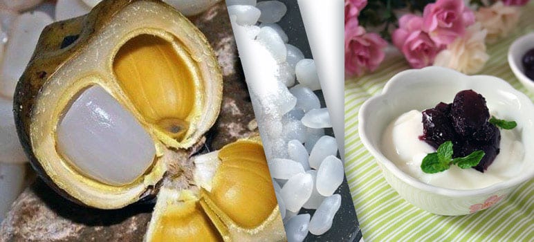 Hạt đác là gì?