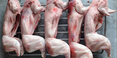 Thỏ thịt làm sạch