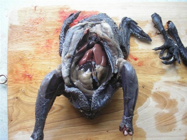 Gà H’mông nhồi xôi bắp