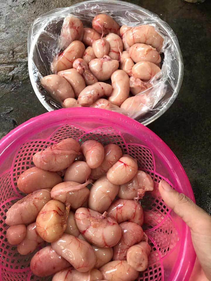 Cửa hàng bán Kê chim bồ câu uy tín