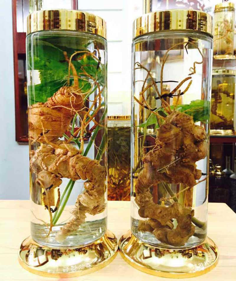 rượu sâm ngọc linh