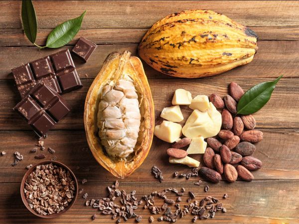 Tỉ lệ bơ trong bột cacao là bao nhiêu?