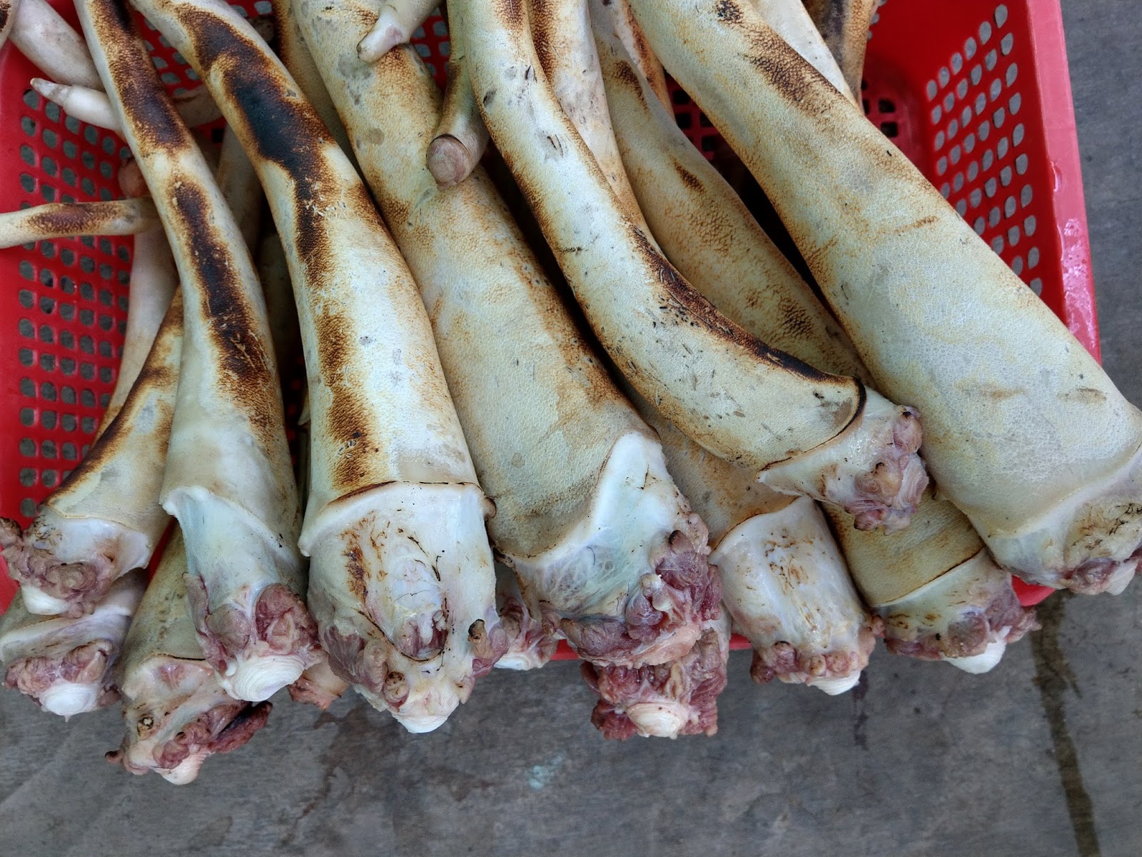 Đuôi bò nấu món gì ngon?