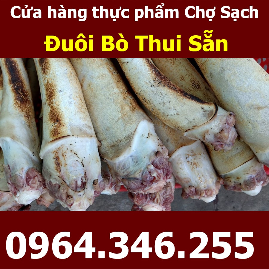 Mua đuôi bò ở đâu?