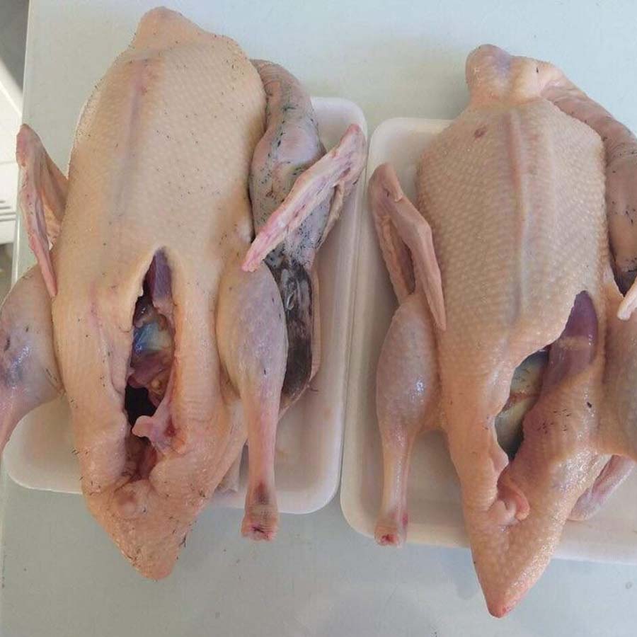 Mua vịt trời ở đâu?