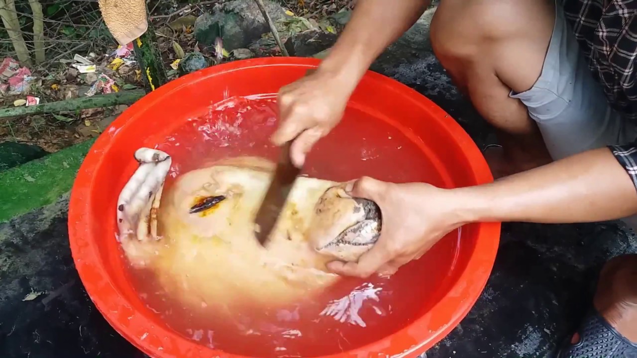 cách làm đầu bò