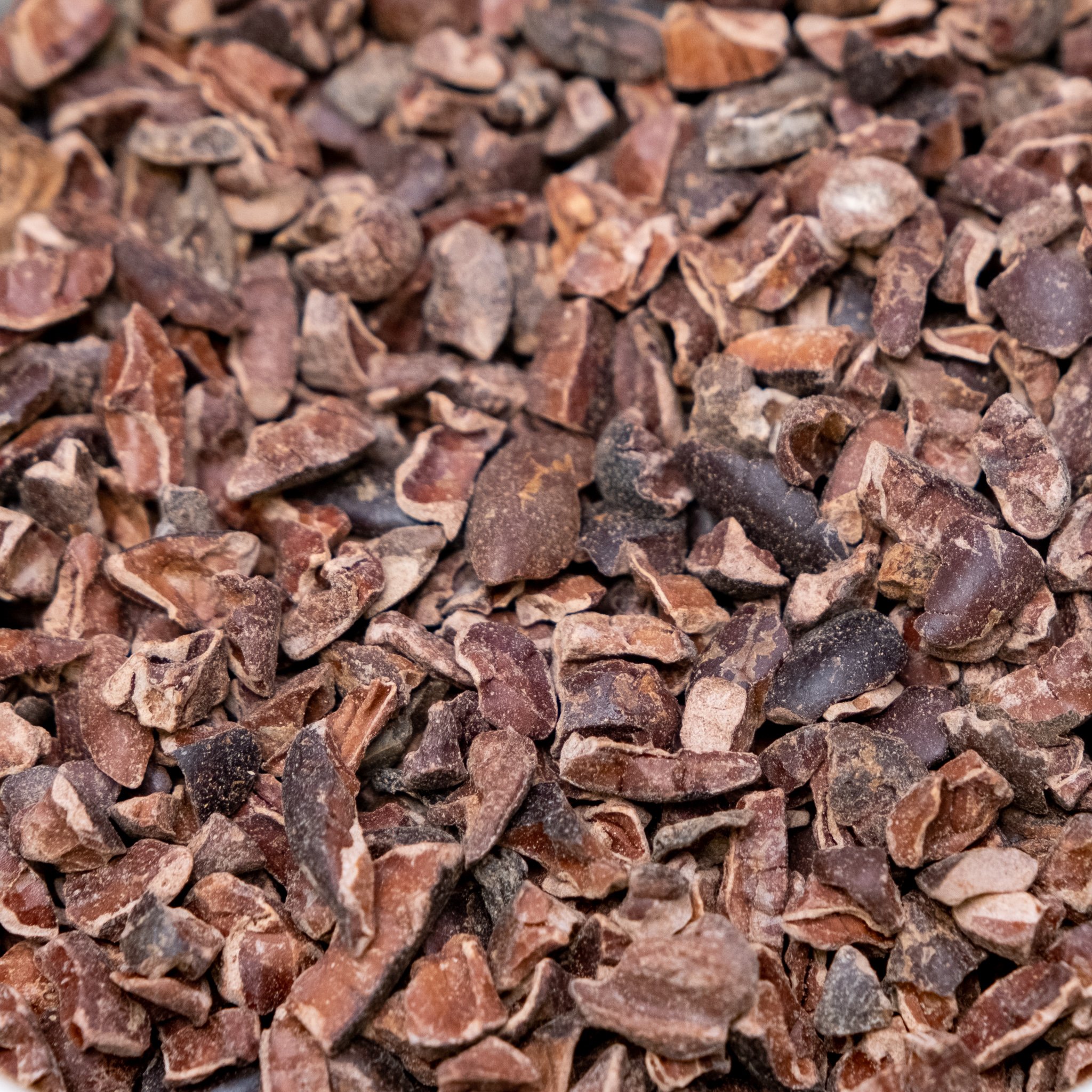 Giới thiệu về Cacao Nibs