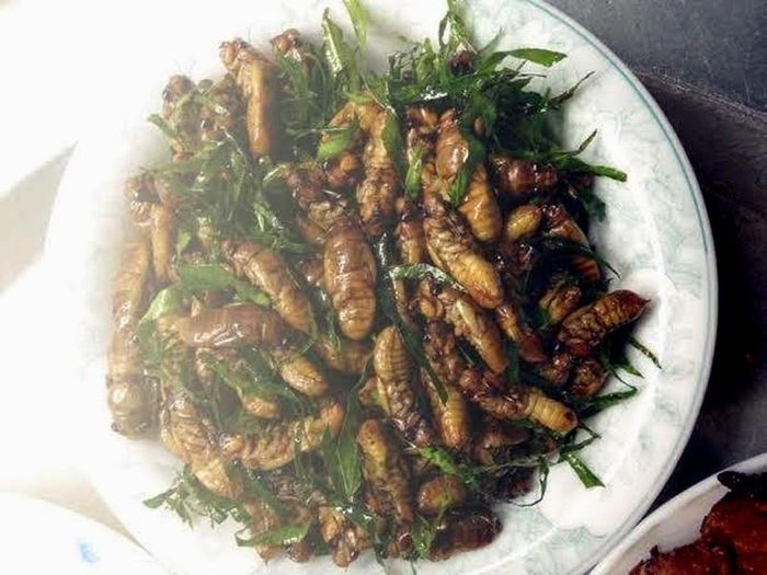 Ve sầu non làm món gì ngon?