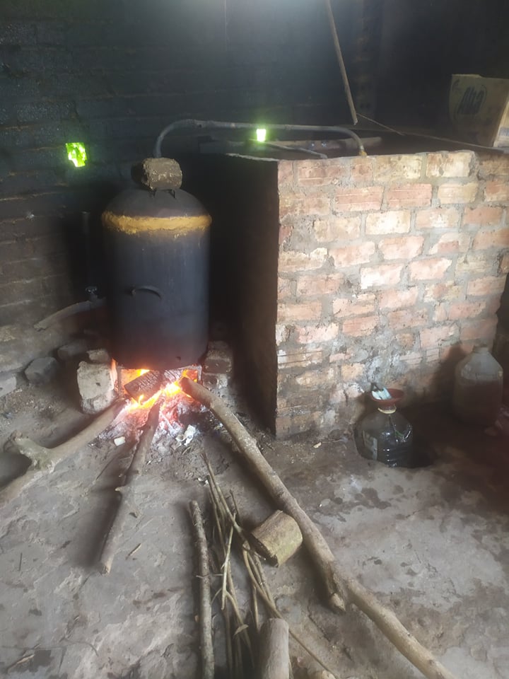 Hương vị của rượu Hồng Đào