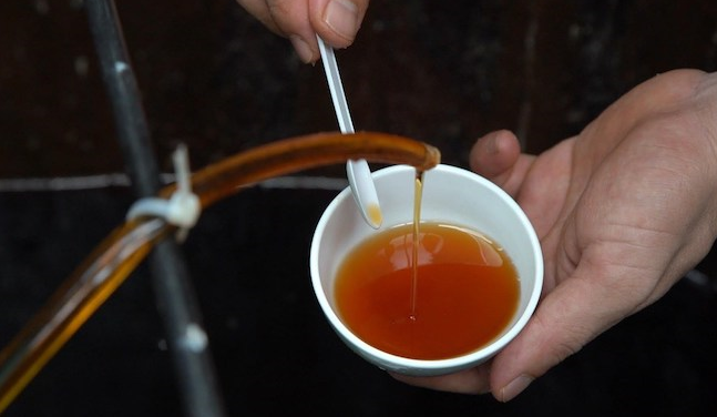 Quy trình làm nước mắm sá sùng cổ truyền