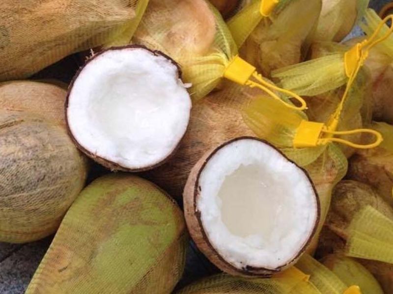 Mách bạn cách bổ dừa sáp 