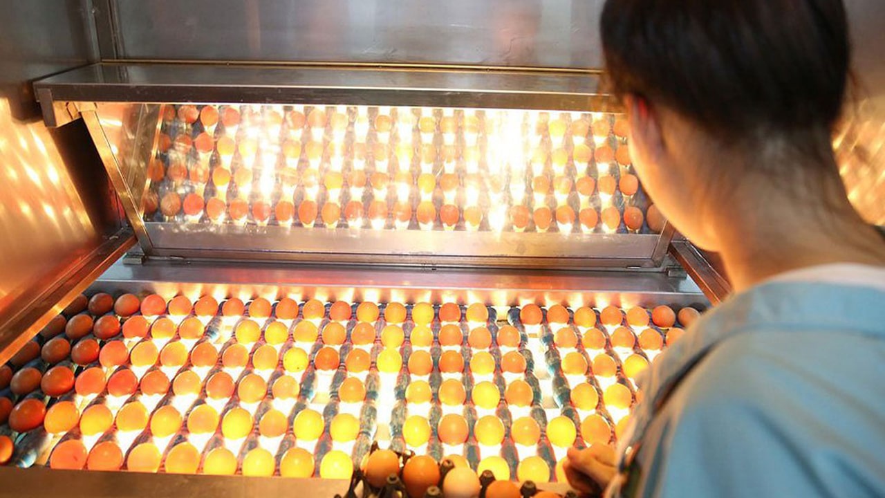 Trứng gà ăn liền