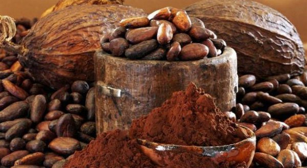 cacao