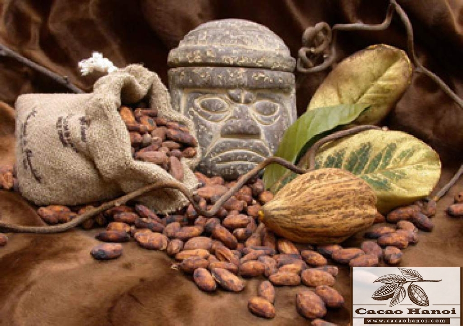 cacao thần dược