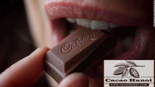 ăn cacao ham muốn cao