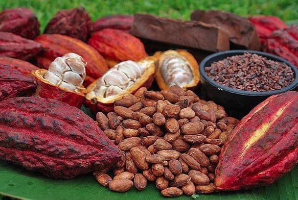 Nguồn gốc của bơ ca cao