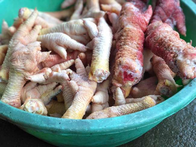 Một số tác dụng của Chân Gà Đông Tảo.