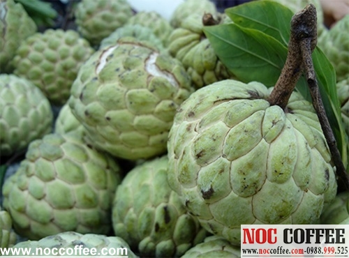 Tác dụng của quả Na