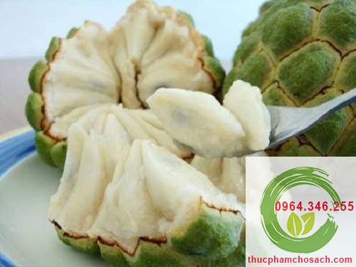 Na Bở Trồng Trên Đồi Núi Kim Bảng Sạch 100%