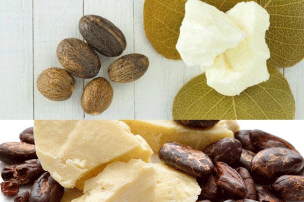 Tác dụng tuyệt vời của bơ cacao